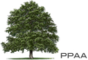 PPAA Tree